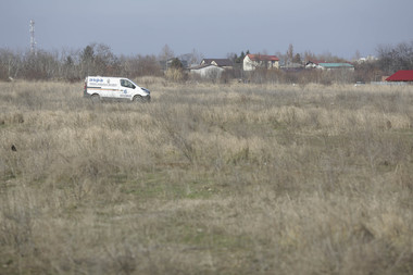 UPDATE Purtătoarea de cuvânt a ASPA, după ce o femeie a fost omorâtă de câini în zona Lacul Morii: Am ridicat peste 120 de câini, din aprilie anul trecut şi până în prezent. Capturarea nu rezolvă cauza, ci efectul