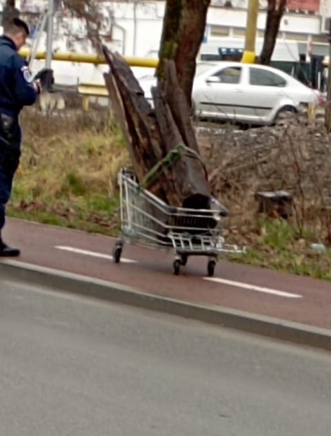 Bistriţa-Năsăud: Un bărbat şi o femeie, suspectaţi de furt după ce au fost prinşi cărând cu un cărucior de supermarket traverse din lemn pentru calea ferată - FOTO