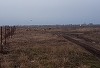 Cazul femeii ucise de câini la Lacul Morii - Primăria Sectorului 6: În 2023, au fost făcute 96 de sesizării către Poliţia Locală privind câinii maidanezi, iar în 12 cazuri ASPA s-a prezentat dar nu a capturat câinii 
