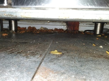 Un fast-food din Constanţa a fost închis temporar de către Protecţia Consumatorilor/ Au fost găsite insecte vii şi moarte, mizerie, carne fără elemente de identificare - FOTO
