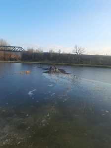 Vâlcea: Doi adolescenţi, salvaţi din apele râului Olt, după ce gheaţa s-a rupt sub ei - VIDEO