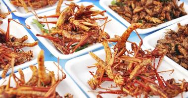 Produsele alimentare care conţin specii de insecte autorizate ca alimente noi vor fi prezentate în magazine în standuri separate, cu panouri de informare clare - proiect
