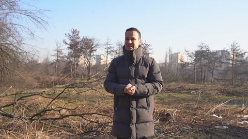 Primarul Sectorului 3 Robert Negoiţă face apel la autorităţile de mediu să facă verificări, în zona retrocedată din parcul IOR, unde au fost tăiaţi mai mulţi copaci