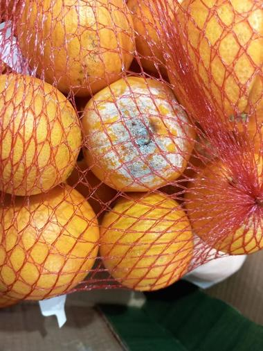 Amenzi de peste 7 milioane de lei, date de Protecţia Consumatorilor după controale în supermarketurile Lidl din toată ţara/ Au fost găsite la vânzare fructe şi legume cu mucegai, produse alimentare expirate sau cu ambalaj deteriorat, mizerie - FOTO