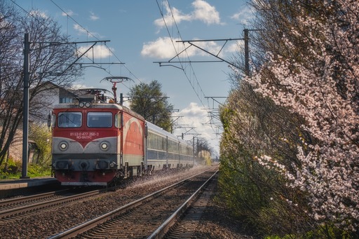 Trei trenuri de călători au întârzieri mai mari de o oră, după ce au staţionat până la îndepărtarea unor copaci doborâţi de vânt