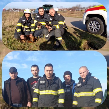 Timiş: Pompierii au salvat doi căţei şi pe mama lor, după ce au căzut într-un canal / Câţiva copii care au urmărit operaţiunea au adoptat imediat animalele