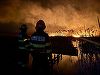 Tulcea: Incendiu de vegetaţie şi stuf în apropiere de Satu Nou/ Au ars 30 de hectare, dar din cauza vântului focul continuă să se propage şi poate pune în pericol grajduri şi anexele unei ferme - VIDEO
