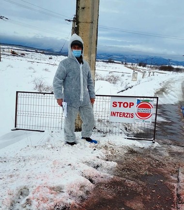Braşov: Sursa primară a focarelor de gripă aviară de pe platforma Codlea o reprezintă păsările sălbatice
