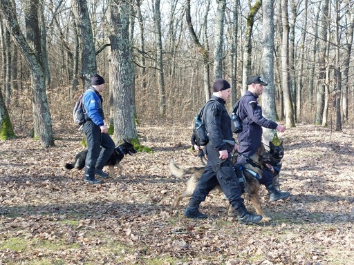 UPDATE - Studentă din Braşov, dispărută încă din februarie la Sibiu, căutată de peste 350 de oameni în pădurea de la marginea oraşului / S-au folosit inclusiv drone / Operaţiunea, încheiată fără rezultat - FOTO