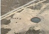 Peste 1.900 de cai, observaţi în Rezervaţia Biosferei Delta Dunării, în urma unei monitorizări din elicopter/ Cei mai mulţi – 915, găsiţi în Grindul Letea 