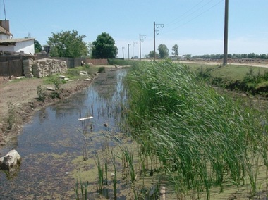 Proiect în valoare de peste 56 de milioane de lei pentru reducerea riscului de producere a inundaţiilor în Delta Dunării/ Lucrările trebuie încheiate până la finalul acestui an 
