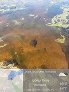 Trei broaşte ţestoase dintr-o specie vulnerabilă, salvate de Garda de Mediu Timiş - FOTO