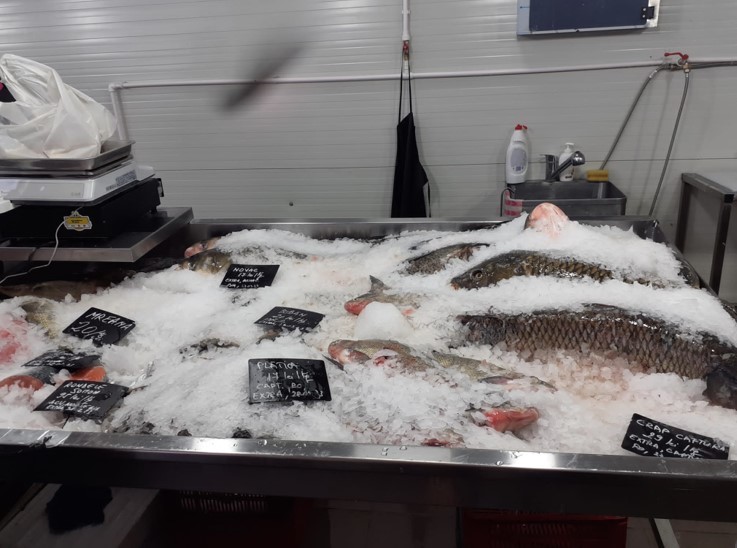 ANSVSA anunţă rezultatele acţiunii fulger de control în hala de peşte din Piaţa Obor: 8 sancţiuni contravenţionale, în valoare totală de 72.000 de lei, 254 kg de peşte confiscate