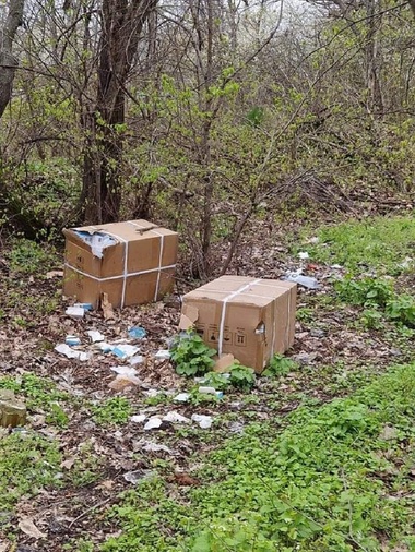 Buzău: Mii de teste Covid 19, expirate, au fost găsite pe marginea drumului / Viceprimar: Este o faptă extrem de gravă pentru că vorbim de deşeuri medicale periculoase ce trebuie neutralizate în condiţii stricte! - FOTO