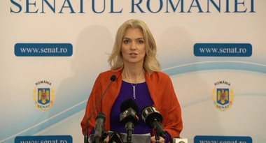 Alina Gorghiu anunţă două proiecte ale PNL: Reducerea TVA la 5% la anumite categorii de produse pentru copii şi părinţii care au copii până la opt ani vor putea munci patru zile pe lună de acasă 