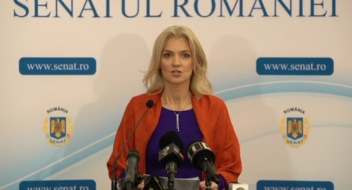 Alina Gorghiu anunţă două proiecte ale PNL: Reducerea TVA la 5% la anumite categorii de produse pentru copii şi părinţii care au copii până la opt ani vor putea munci patru zile pe lună de acasă 