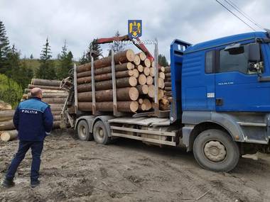 Suceava: Două transporturi ilegale de lemn au fost depistate de poliţişti / Un şofer care a făcut scandal a primit amenzi de peste 5.000 de lei - FOTO