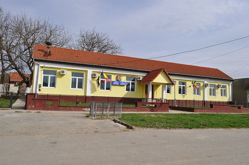 Percheziţii la DSP Timiş, la Primăria Ohaba Lungă şi la un cabinet medical, într-un dosar de abuz în serviciu şi fals intelectual / O persoană care figura ca angajată a Primăriei lucra la cabinetul medical, situaţia durând cel puţin cinci ani 
