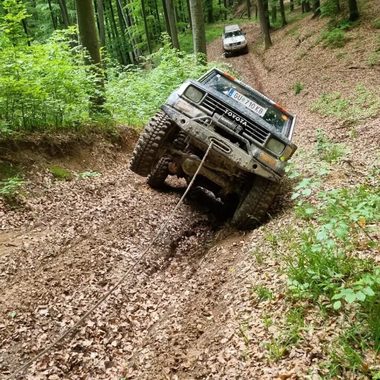 Bihor: Organizatorul austriac al unei competiţii off-road, amendat de Garda de Mediu cu 50.000 de lei după ce s-au găsit urme de maşini în aria naturală protejată Muntele Şes/ Cinci şoferi vor fi şi ei amendaţi