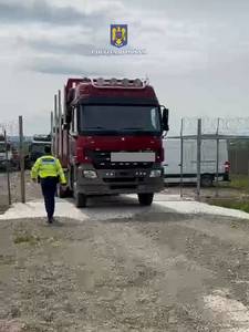 Suceava: Amenzi de 45.000 de lei, un camion şi 150 de metri cubi de lemn confiscaţi de la un agent economic pentru fraude în activitatea de exploatare şi comercializare a lemnului
