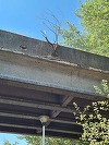 Nicuşor Dan anunţă că încep lucrările de reparaţii la podul din parcul Tineretului / Circulaţia pietonală va fi închisă temporar atât pe pod, cât şi pe aleile de sub acesta