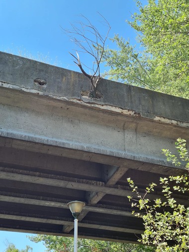 Nicuşor Dan anunţă că încep lucrările de reparaţii la podul din parcul Tineretului / Circulaţia pietonală va fi închisă temporar atât pe pod, cât şi pe aleile de sub acesta