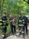 Argeş: Pui de căprioară blocat într-un canal, salvat de către jandarmi, pompieri şi reprezentanţii unei asociaţii a vânătorilor