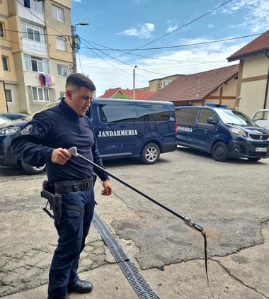 Mehedinţi: O nouă intervenţie a jandarmilor pentru îndepărtarea unei alte vipere aflate în motorul unei maşini parcate