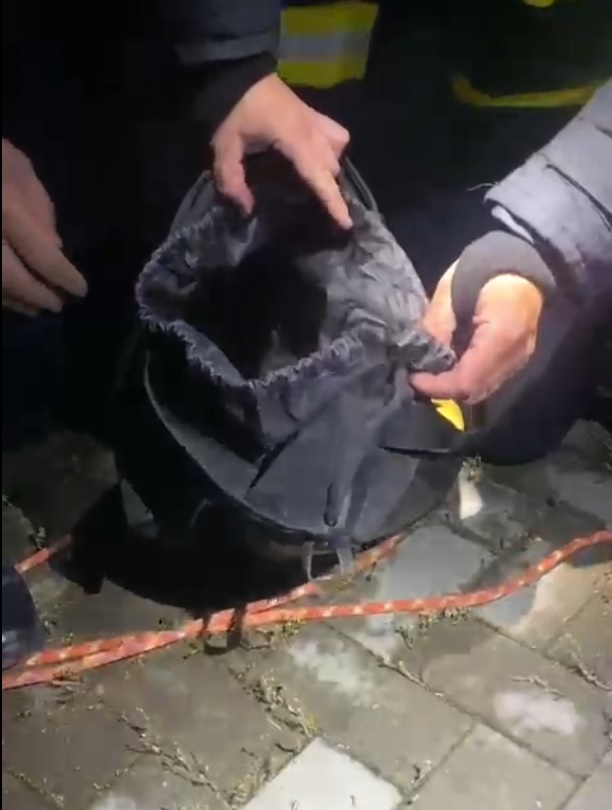 Braşov: Intervenţie dificilă a salvatorilor de la Inspectoratul pentru Situaţii de Urgenţă pentru salvarea unui pui de pisică dintr-un puţ - VIDEO