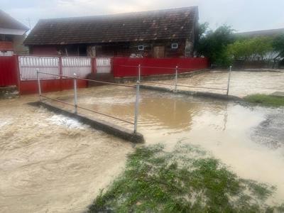 Guvernul acordă ajutoare materiale de construcţii pentru refacerea locuinţelor avariate în urma inundaţiilor care au avut loc în comuna Brazii din judeţul Arad 