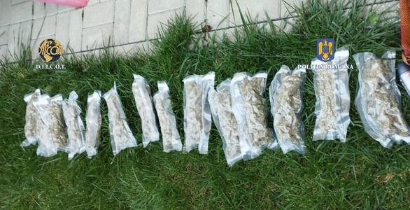 Poliţiştii şi procurorii DIICOT au făcut peste 200 de percheziţii la domiciliu şi şase acţiuni de prindere în flagrant, în perioada 23 iunie - 6 iulie / Aproximativ 12 kilograme de canabis, confiscate