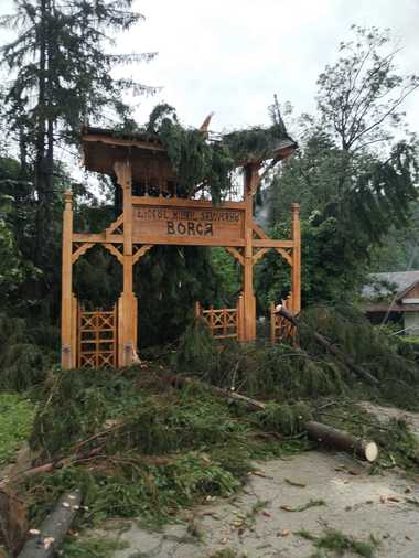 Neamţ: Pompierii au intervenit pentru îndepărtarea unor copaci dărâmaţi de vântul puternic, în mai multe localităţi din judeţ/ Tot din cauza fenomenelor meteo peste 23.000 de consumatori nu au curent electric - FOTO