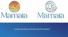 Primăria Constanţa a anunţat că staţiunea Mamaia are un nou logo şi un nou slogan: “Unde distracţia întâlneşte marea”
