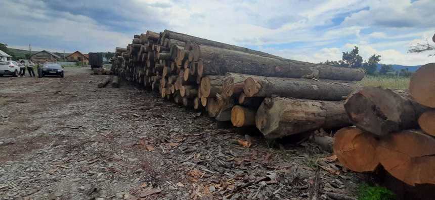 IPJ Suceava: Peste 400 mc material lemnos confiscaţi de poliţişti în cadrul acţiunilor silvice, în valoare de aproximativ 80.000 lei

