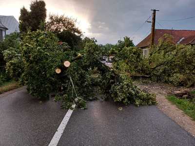 IGSU anunţă un record al numărului de intervenţii în ultimele 24 de ore, peste 2.000/ Peste 1.500 de persoane au cerut asistenţa SMURD/ În urma furtunilor, pompierii au îndepărtat copacii căzuţi, fiind avariate 111 autoturisme, 36 de case şi 14 blocuri