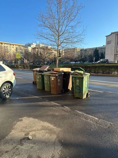Primăria Sector 1, explicaţii la acuzaţiile lui Florin Manole: Romprest a solicitat ajustarea tarifelor de salubrizare / În caz contrar, compania va lua măsuri de diminuare a resurselor alocate prestării serviciului care nu se recuperează în acest moment prin tarifele aflate în plată