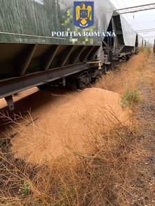 Constanţa: Doi bărbaţi sunt cercetaţi după ce au rupt sigiliile unor vagoane de marfă şi zece tone de grâu au curs pe terasamentul căii ferate / Ei au furat o jumătate de tonă de cereale - FOTO