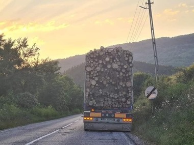 TIR-ul din care un buştean a căzut şi a trecut prin parbrizul unui autoturism transporta cu peste 9 metri cubi de lemn mai mult decât cantitatea trecută în acte - FOTO
