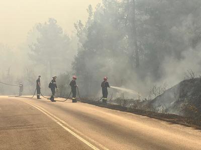 Pompierii români acţionează pentru stingerea unui incendiu  în zona Dadia, Grecia, extins pe o rază de 3 km - FOTO, VIDEO