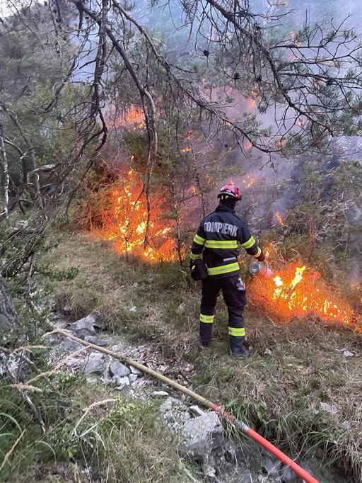 Pompierii români şi francezi intervin de peste 48 de ore pentru a limita răspândirea incendiului de pădure din apropierea localităţii Chanousse - FOTO, VIDEO