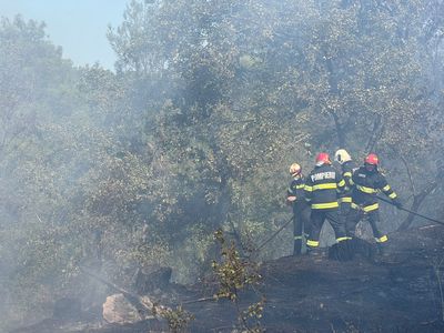 Pompierii români continuă să îi ajute pe cei eleni în stingerea incendiului de pădure din apropierea localităţii Dadia, Grecia - FOTO, VIDEO