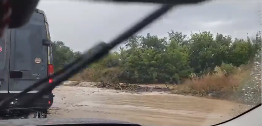 IGSU -  35 de localităţi din 19 judeţe şi Capitala, afectate de vijelii şi de ploile abundente în ultimele 24 de ore / Circulaţia a fost blocată temporar pe trei drumuri naţionale / 8 autoturisme avariate de copacii doborâţi de vânt
