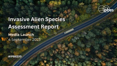 ”Raportul privind speciile invazive”, adoptat/ Peste 3.500 din cele 37.000 de specii invazive, din regiuni din întreaga lume, reprezintă ameninţări majore pentru natură, economie, securitatea alimentară şi sănătatea umană