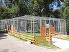 UPDATE - Fetiţă de 8 ani, muşcată de un lup la Grădina Zoologică Sibiu / Precizările medicilor 