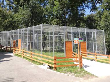 UPDATE - Fetiţă de 8 ani, muşcată de un lup la Grădina Zoologică Sibiu / Precizările medicilor 