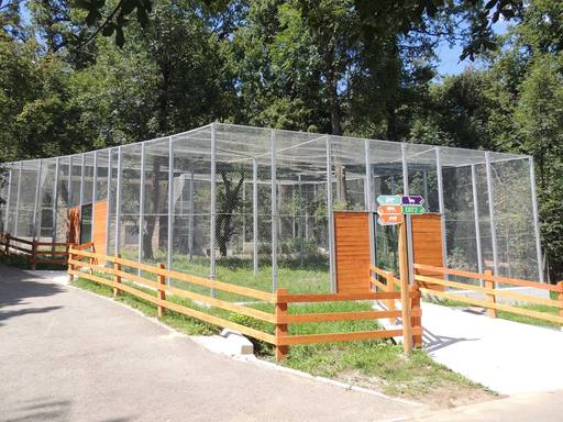 UPDATE - Fetiţă de 8 ani, muşcată de un lup la Grădina Zoologică Sibiu / Precizările medicilor 