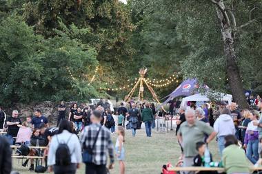 Două tinere şi un bărbat, prinşi având asupra lor substanţe ce par la fi droguri, LaRock Music Festival organizat în judeţul Prahova - FOTO