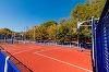N. Dan: Parcurile Circului, Băneasa, Izvor, Carol I, Tineretului, Regele Mihai I (Herăstrău) au de acum terenuri de sport noi, cu echipamente moderne