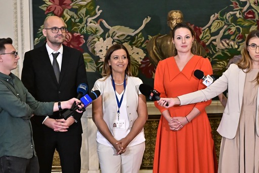 UPDATE - Deputaţii au adoptat un proiect care prevede că femeile gravide sau persoanele însoţite de copii de până la 5 ani au acces prioritar la casieriile sau ghişee / Mara Calista: Acordăm respectul cuvenit femeilor însărcinate şi tinerilor părinţi
