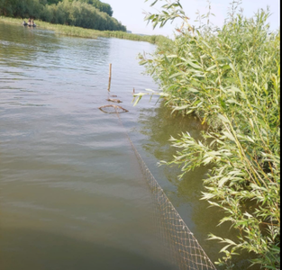 Amenzi de peste 400.000 de lei date comisarii Gărzii de Mediu, într-o amplă acţiune de control desfăşurată în Rezervaţia Biosferei Delta Dunării
